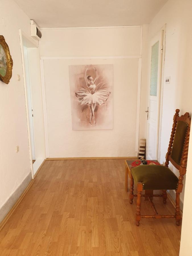 Misa View Apartment *